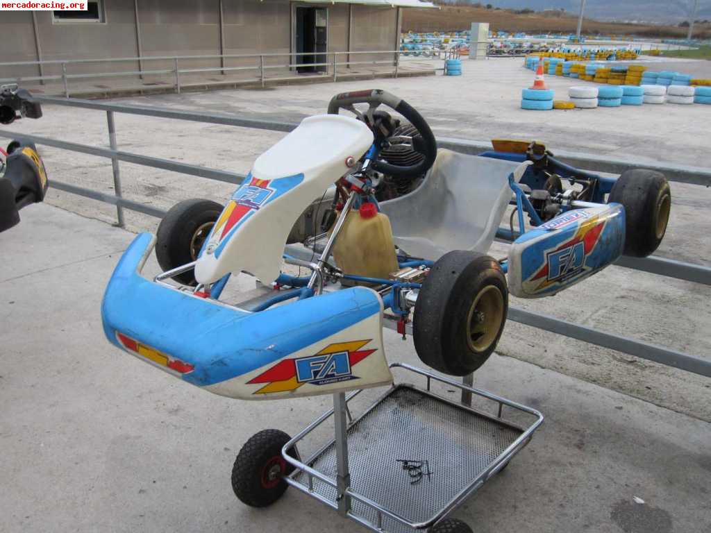 Fa (fernando alonso) cadete puma 85cc