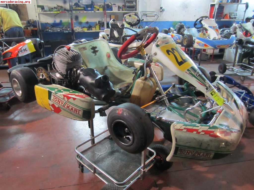 Tonykart cadete puma 85cc