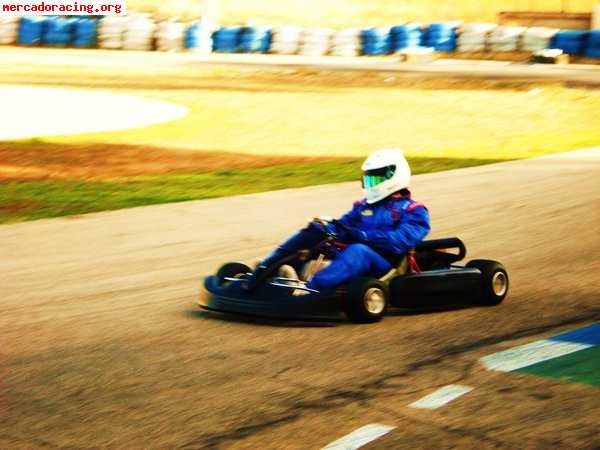 Vendo kart 125 rotax fiable barato perfecto estado