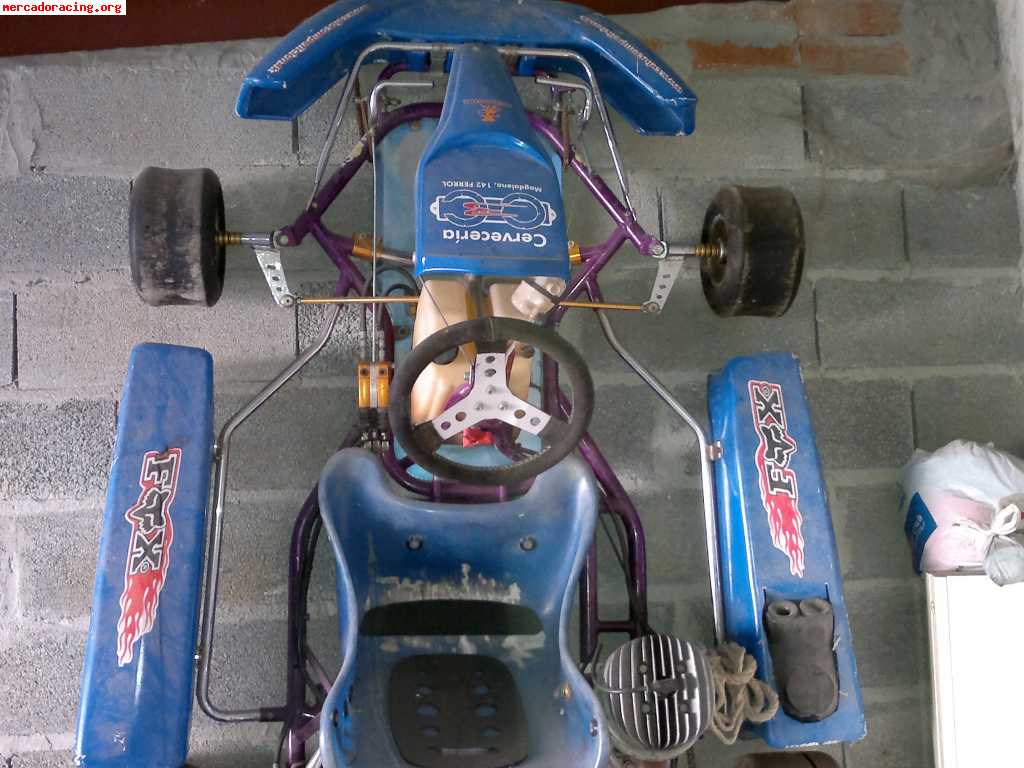 Se vende kart de 100cc