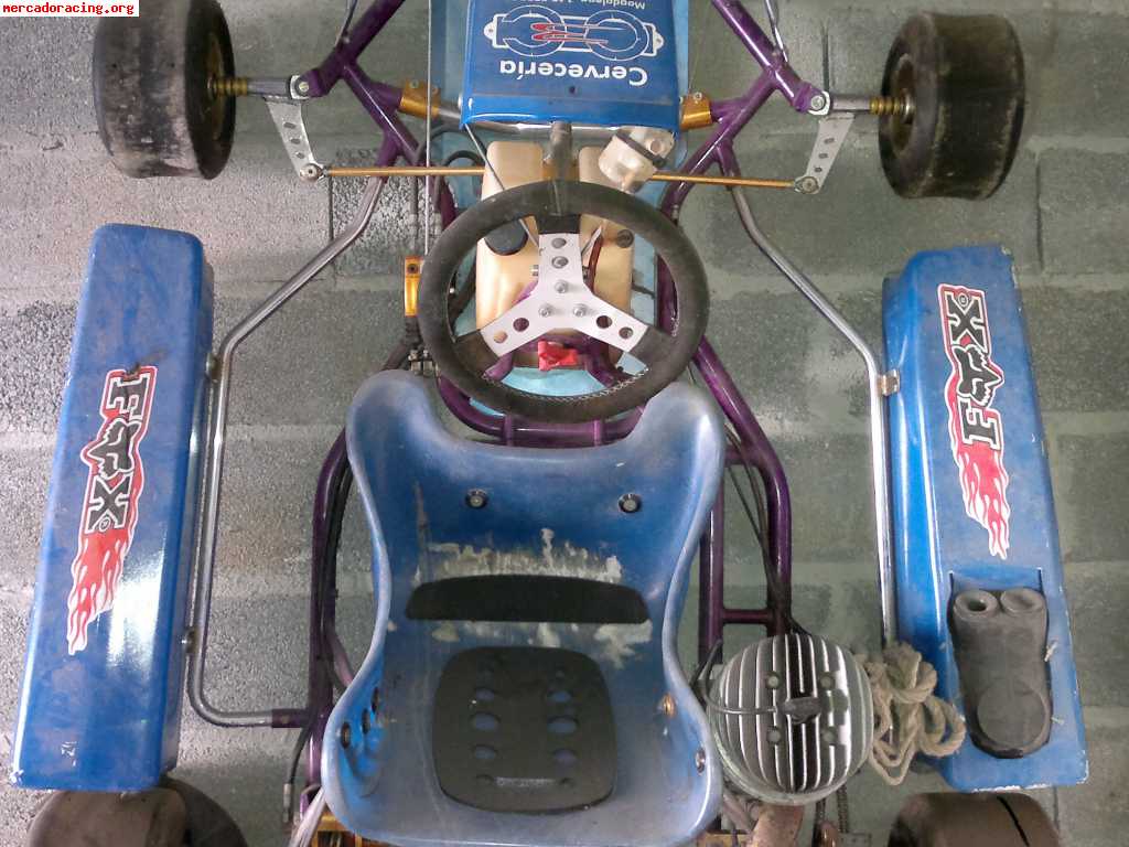 Se vende kart de 100cc