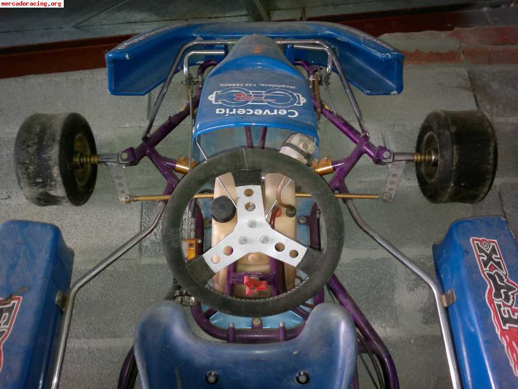 Se vende kart de 100cc