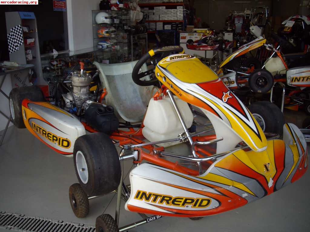 Intrepid - iame leopard 125cc