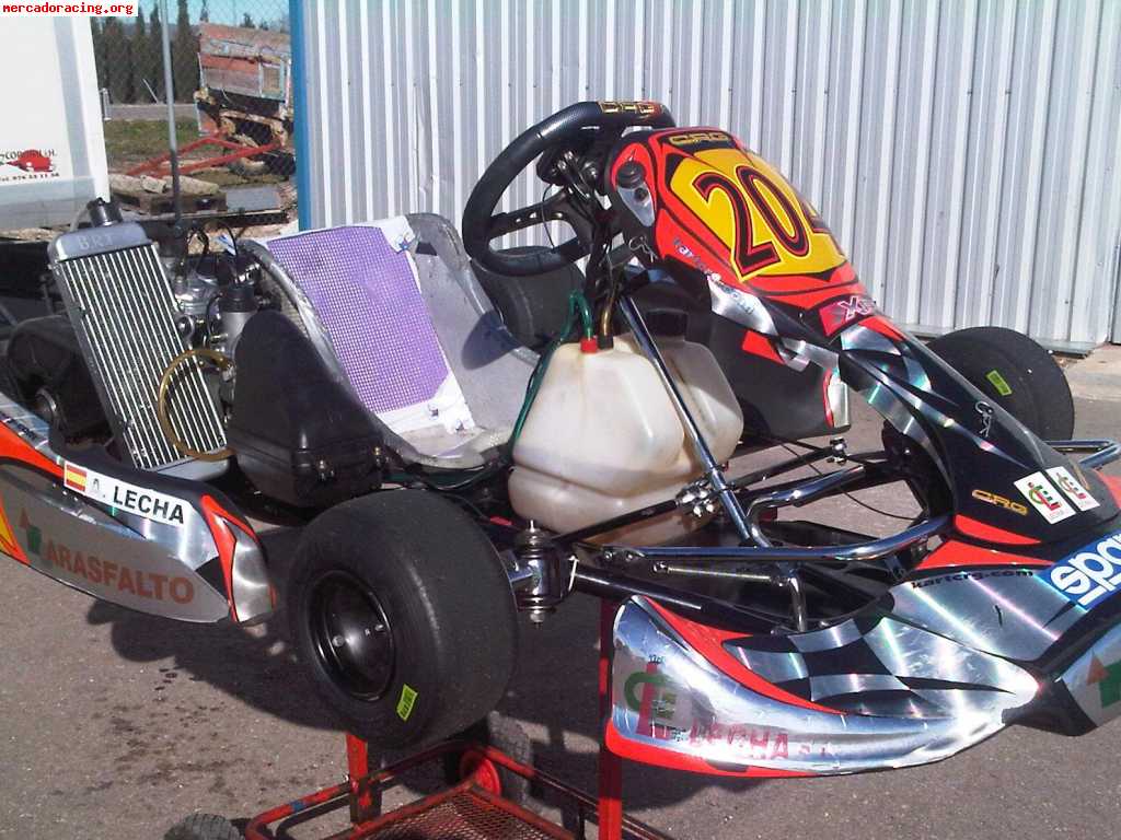 Ocasión kart crg 125cc rotax en perfecto estado 2011