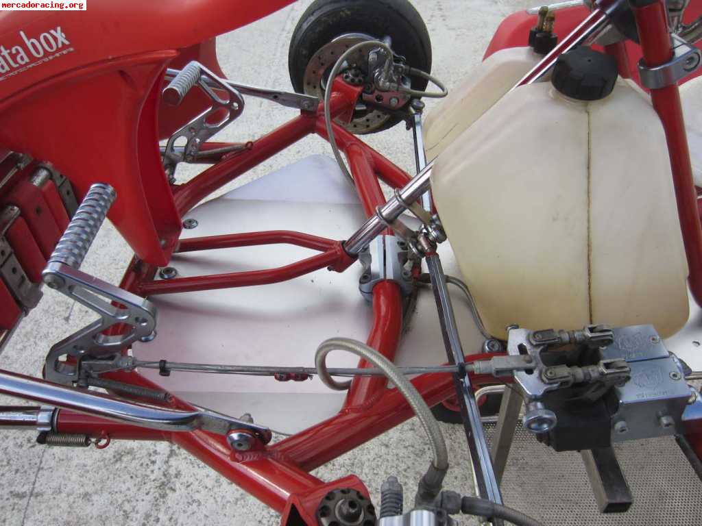 Wildkart kz2 6v ¡¡muy economico!!