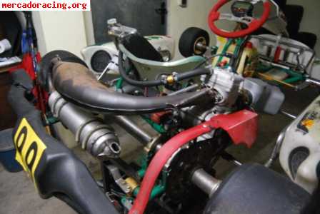 Vendo tonykart racer evx 2009   rok 125cc