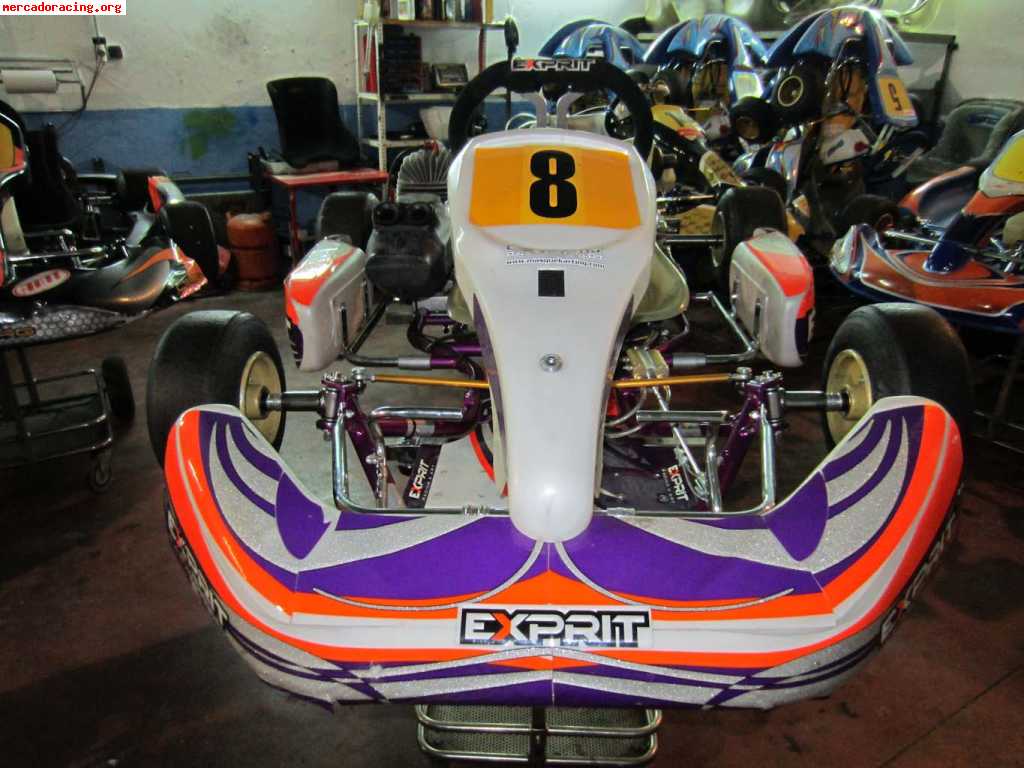 Exprit-tonykart cadete puma 85cc