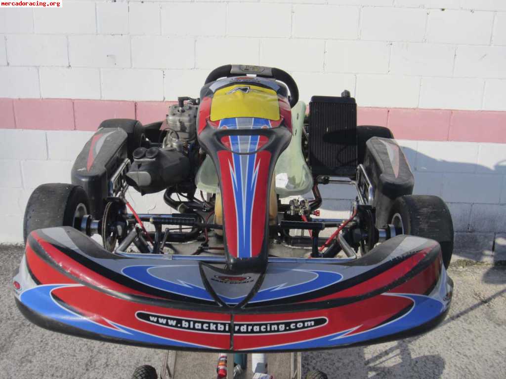 Parolin kz frenos del. vortex 125cc ¡¡1500€!!