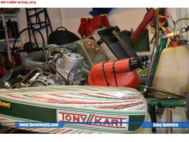 Tony kart kz2 año 2010