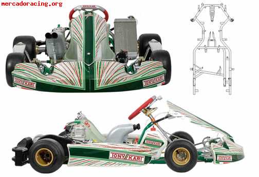 Tony kart kz2 año 2010