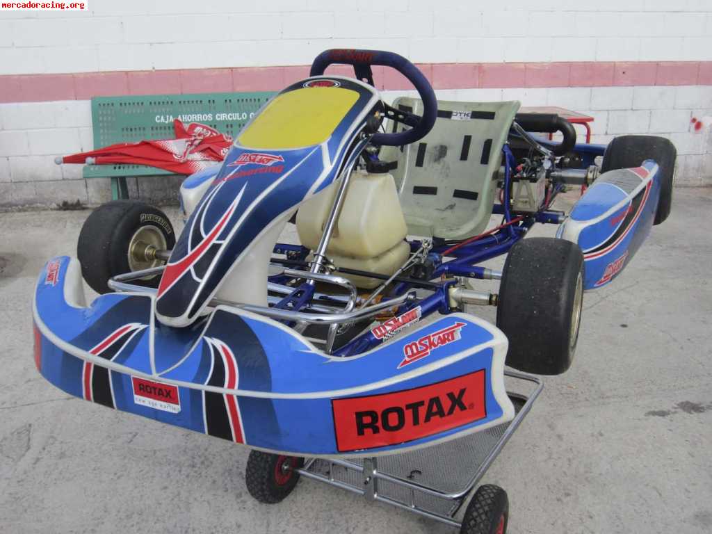 Mskart rotax max 125cc automatico