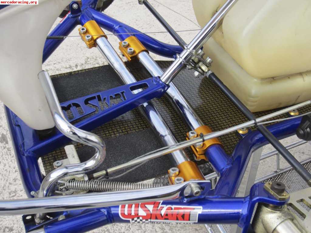 Mskart rotax max 125cc automatico