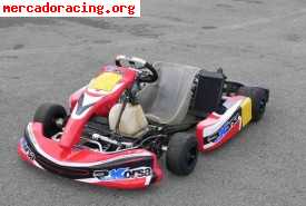 Kart crg road rebel kz2 oportunidad!!