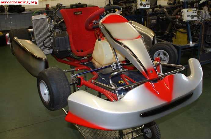 Vendo kart rotax max 125cc con chasis pcr