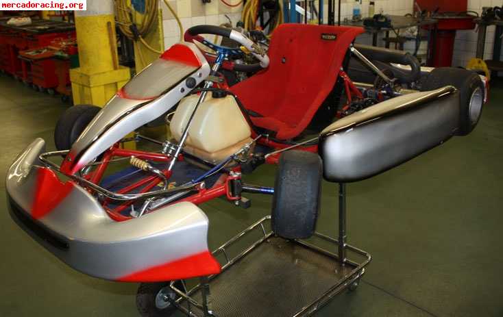 Vendo kart rotax max 125cc con chasis pcr