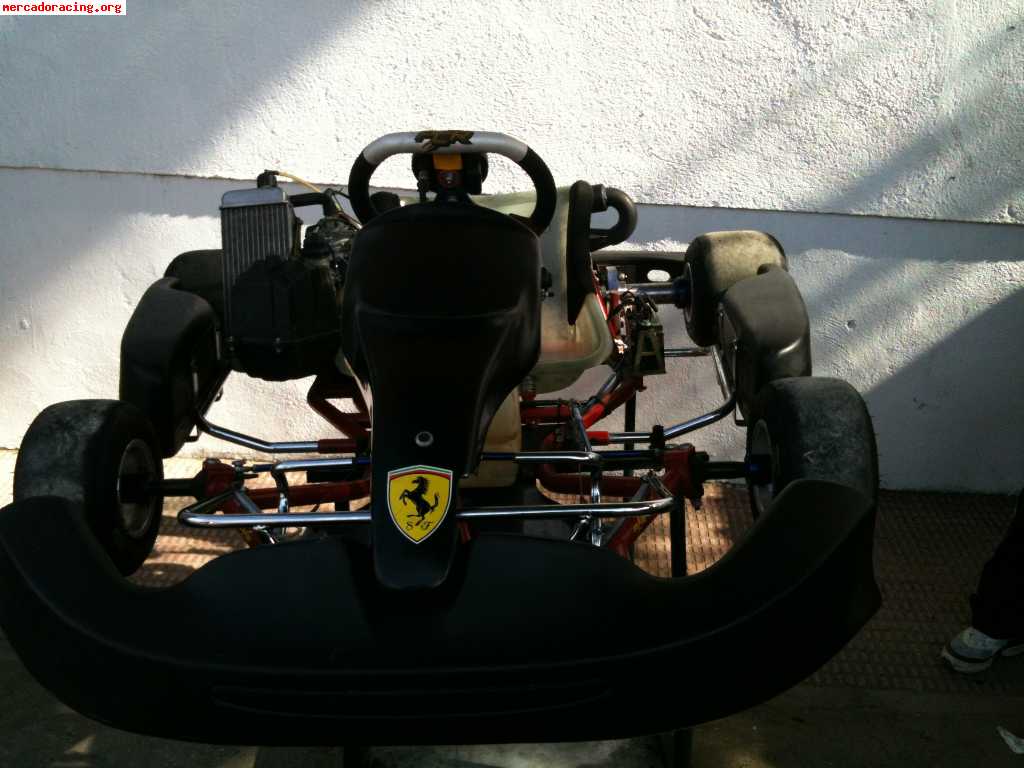 Vendo o cambio por coche kart pcr-rotax max precintado , con