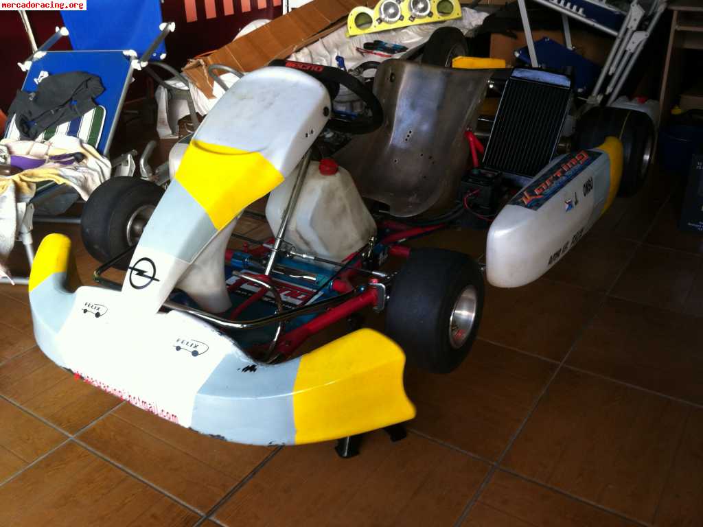 Vendo kart de competicion