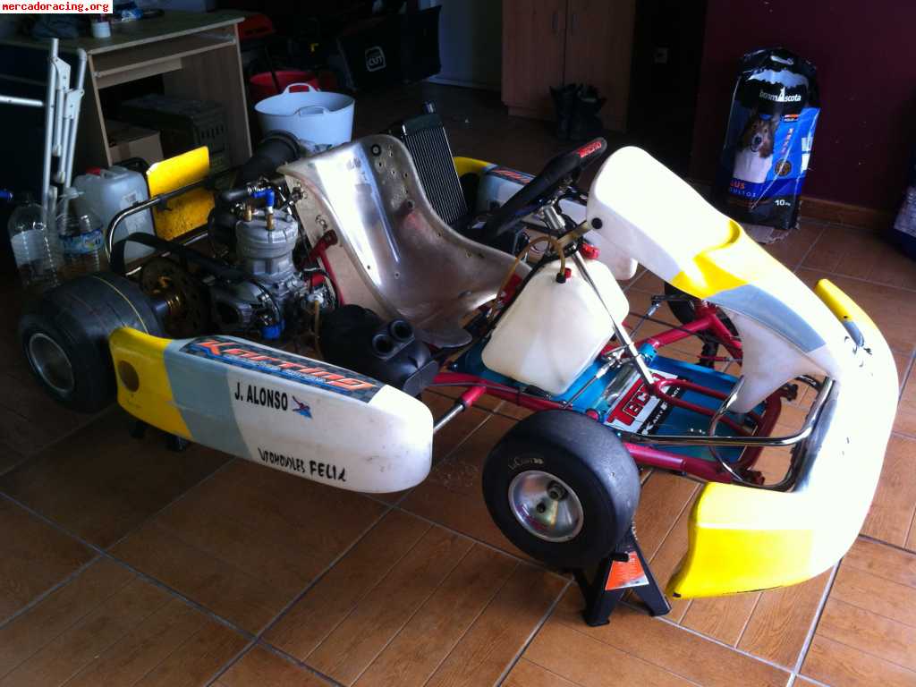 Vendo kart de competicion