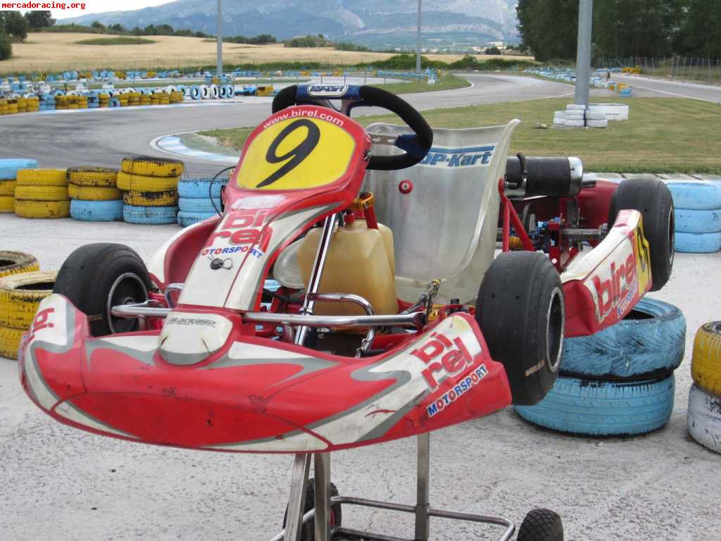 Birel honda 160cc infantil