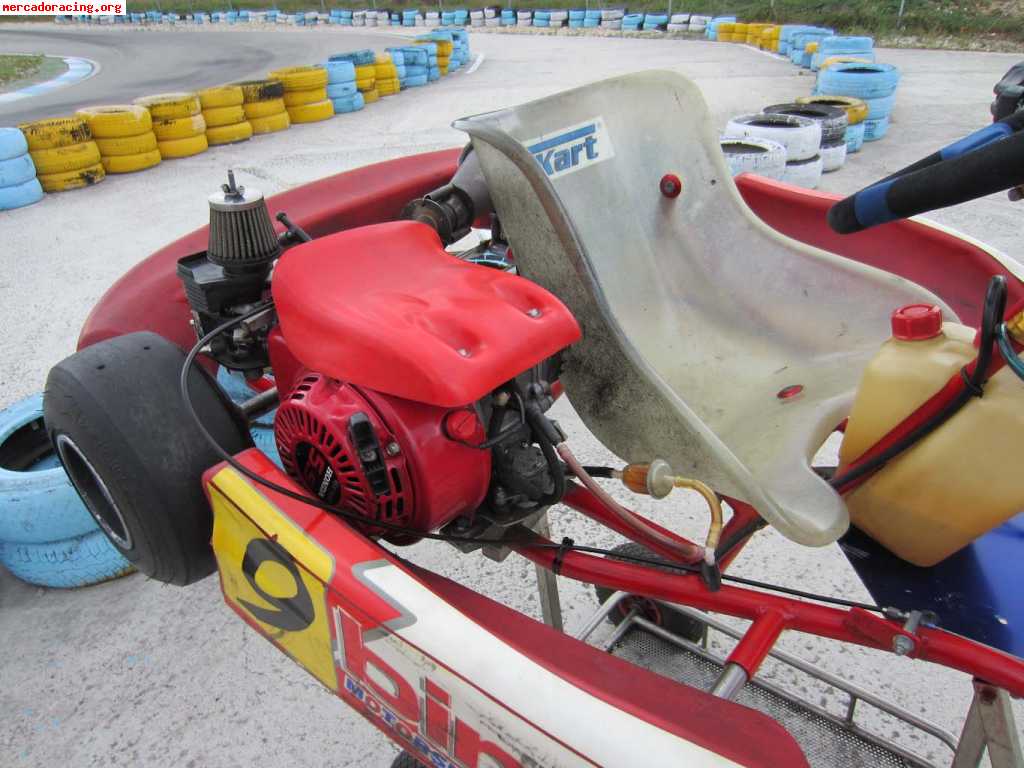 Birel honda 160cc infantil