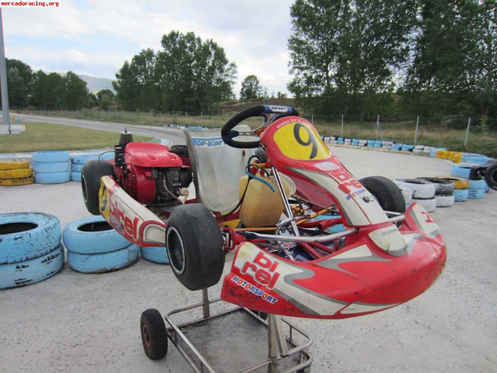 Birel honda 160cc infantil