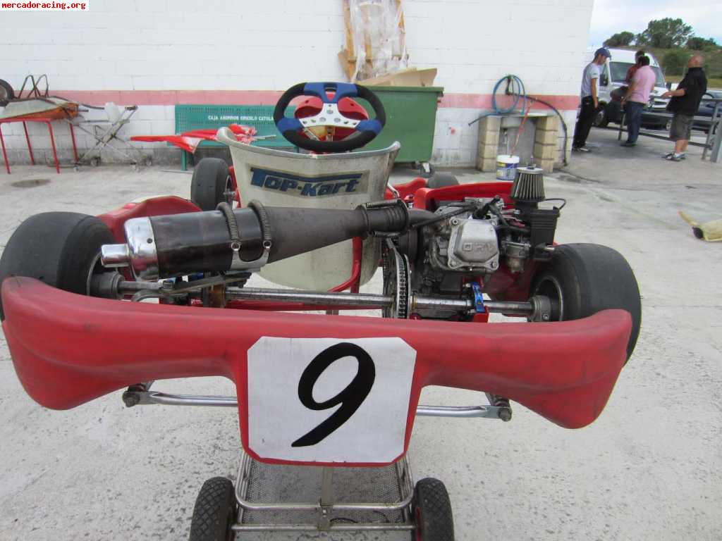 Birel honda 160cc infantil