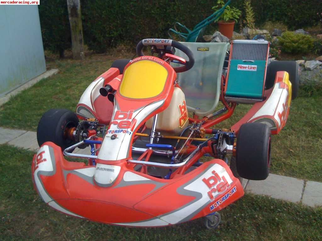 Vendo kart birel r32 kz2 tmk9 ó cambio por v-strom 650