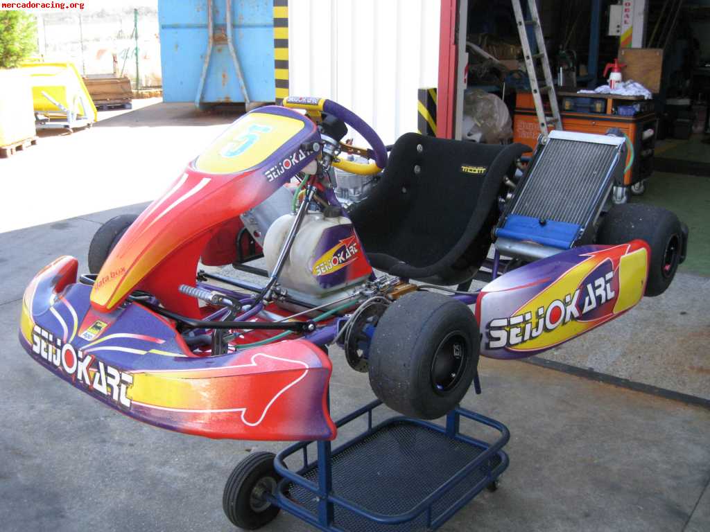 Seijo-kart tm-k9c