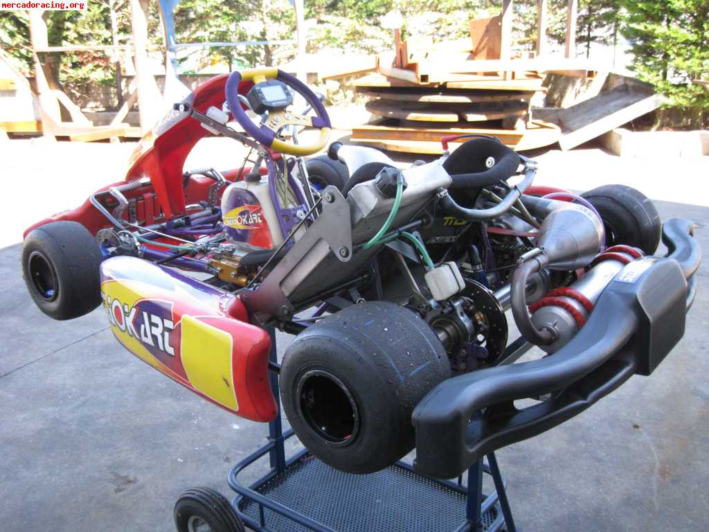 Seijo-kart tm-k9c