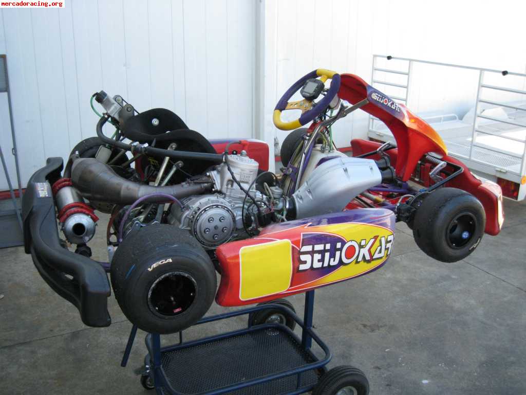 Seijo-kart tm-k9c