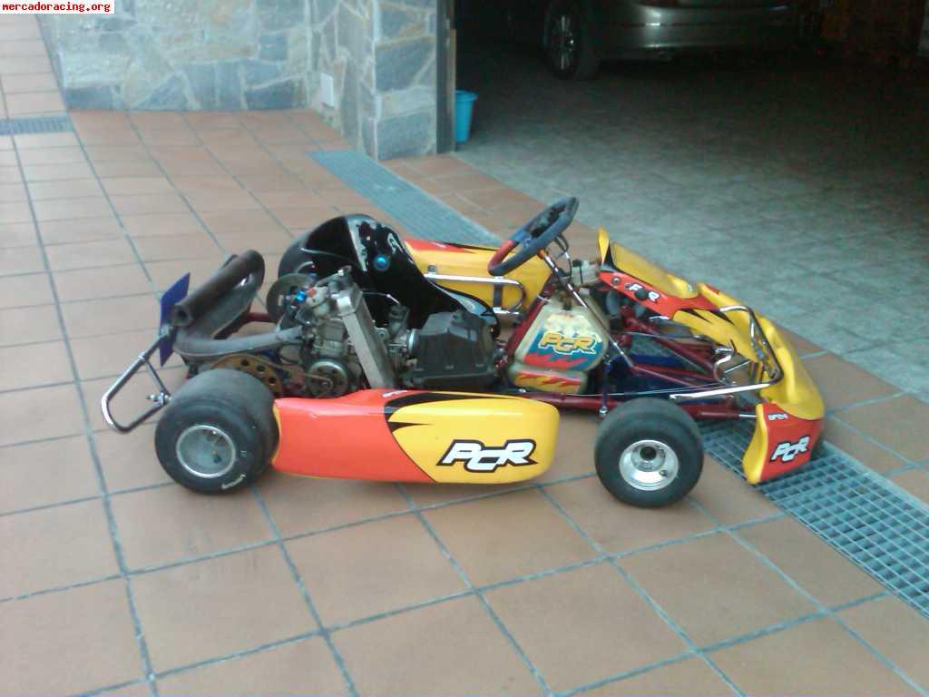 Kart rotax 125