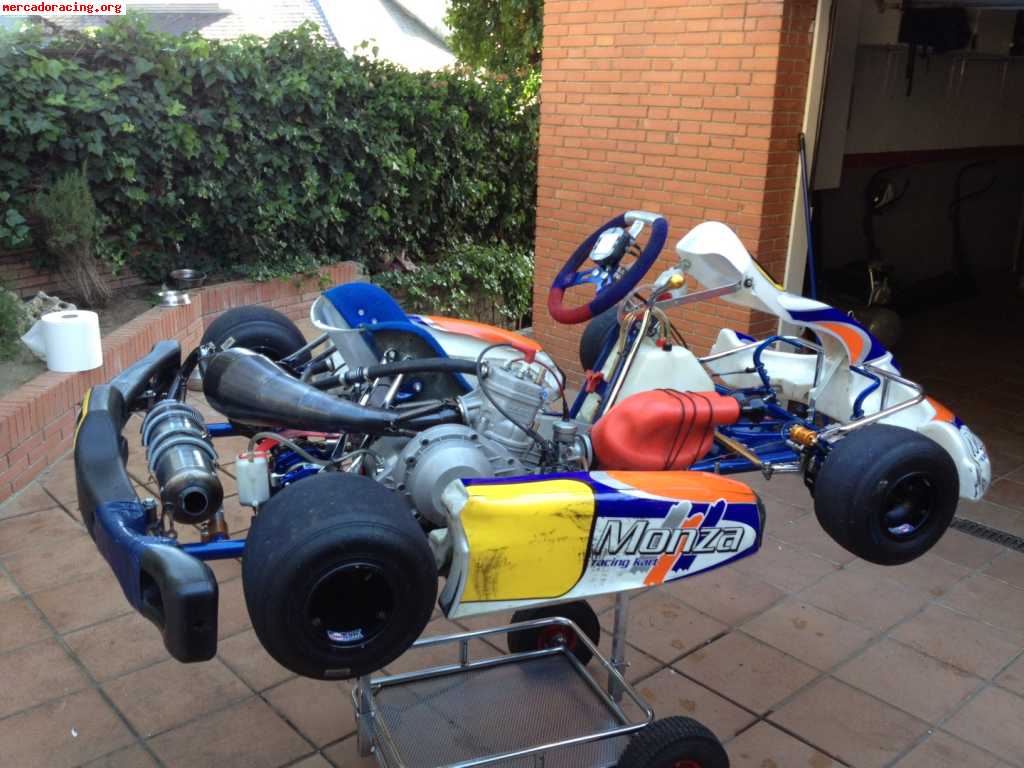 Kart monza icc con motor pavesi 25º aniversario evo 2