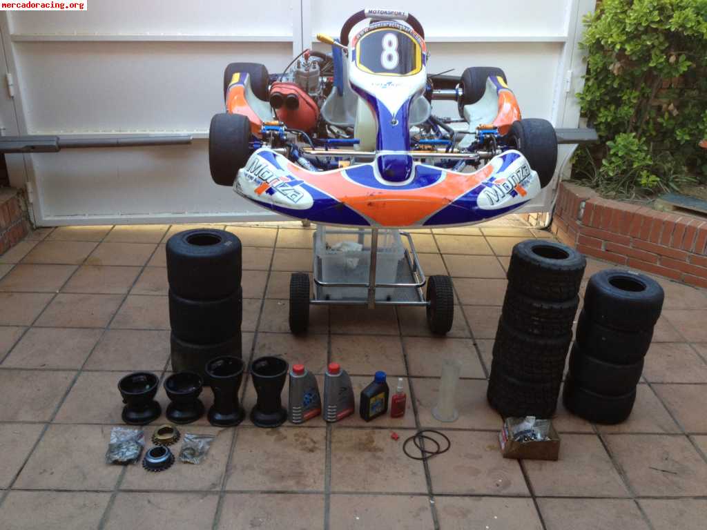 Kart monza icc con motor pavesi 25º aniversario evo 2