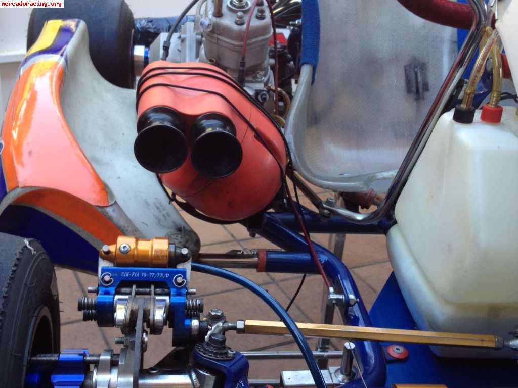 Kart monza icc con motor pavesi 25º aniversario evo 2