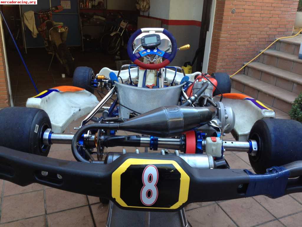 Kart monza icc con motor pavesi 25º aniversario evo 2