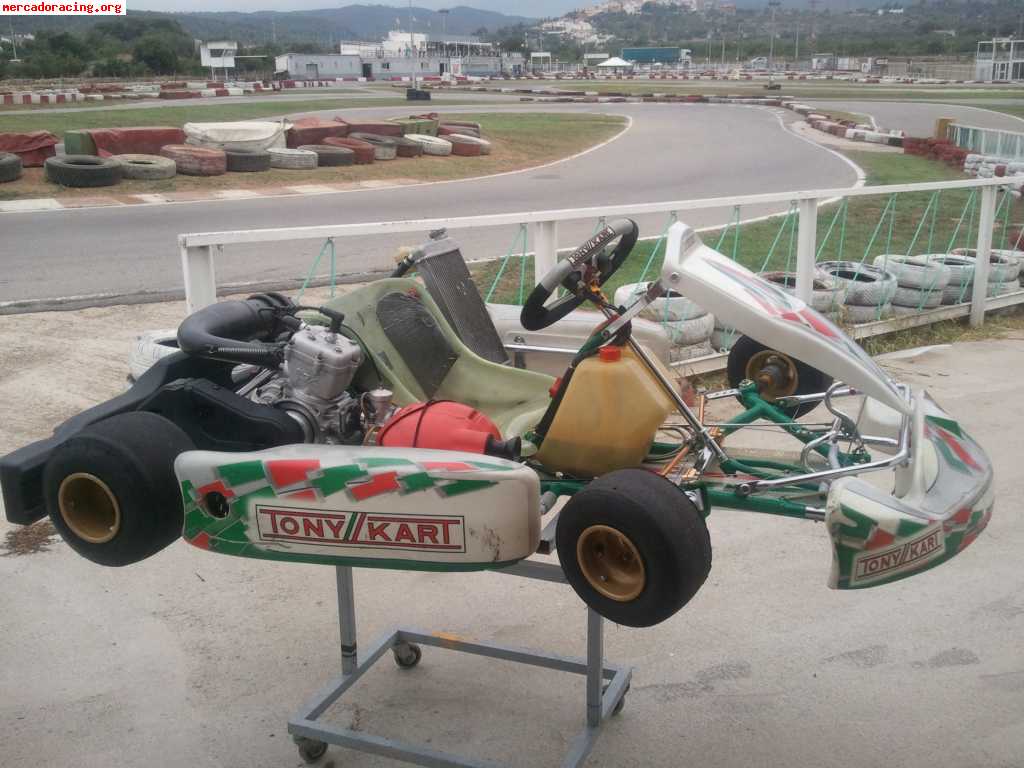 Vendo tony kart evs con motor rok