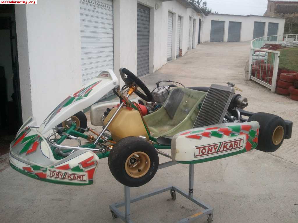 Vendo tony kart evs con motor rok