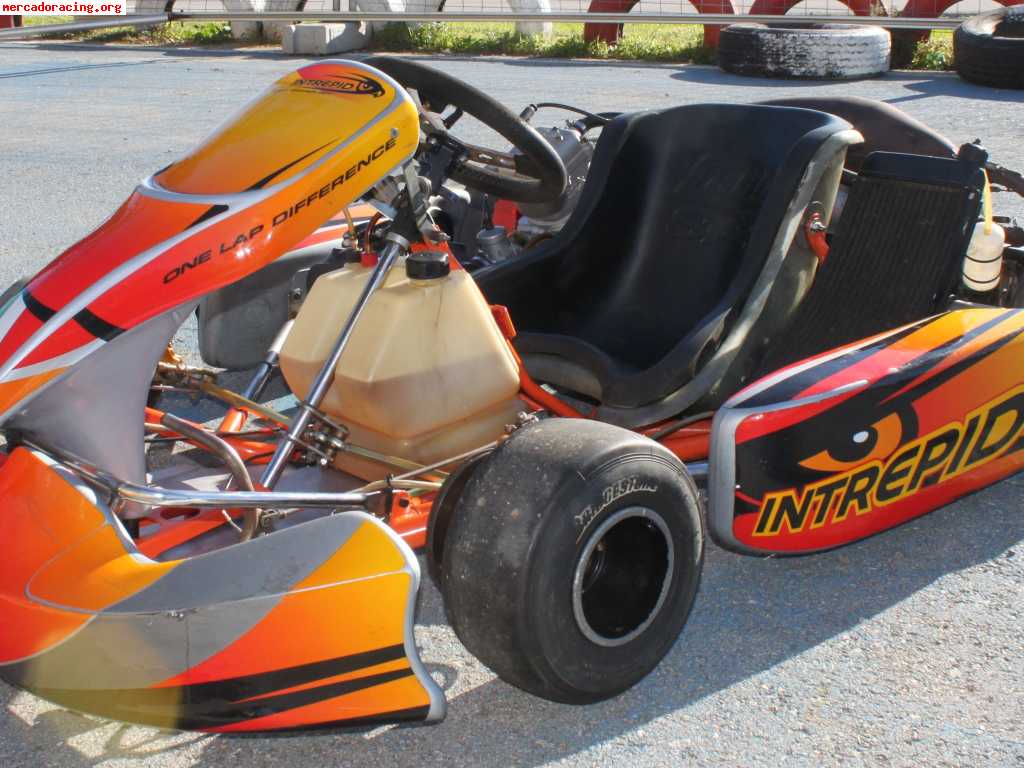 Vendo kart intrepid con motor vortex rock con frenos delante