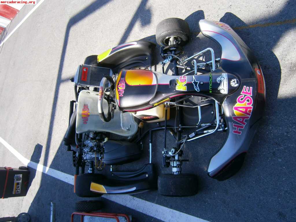 Haase rotax dd2 2011