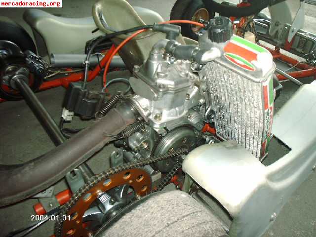 Rotax mini-max