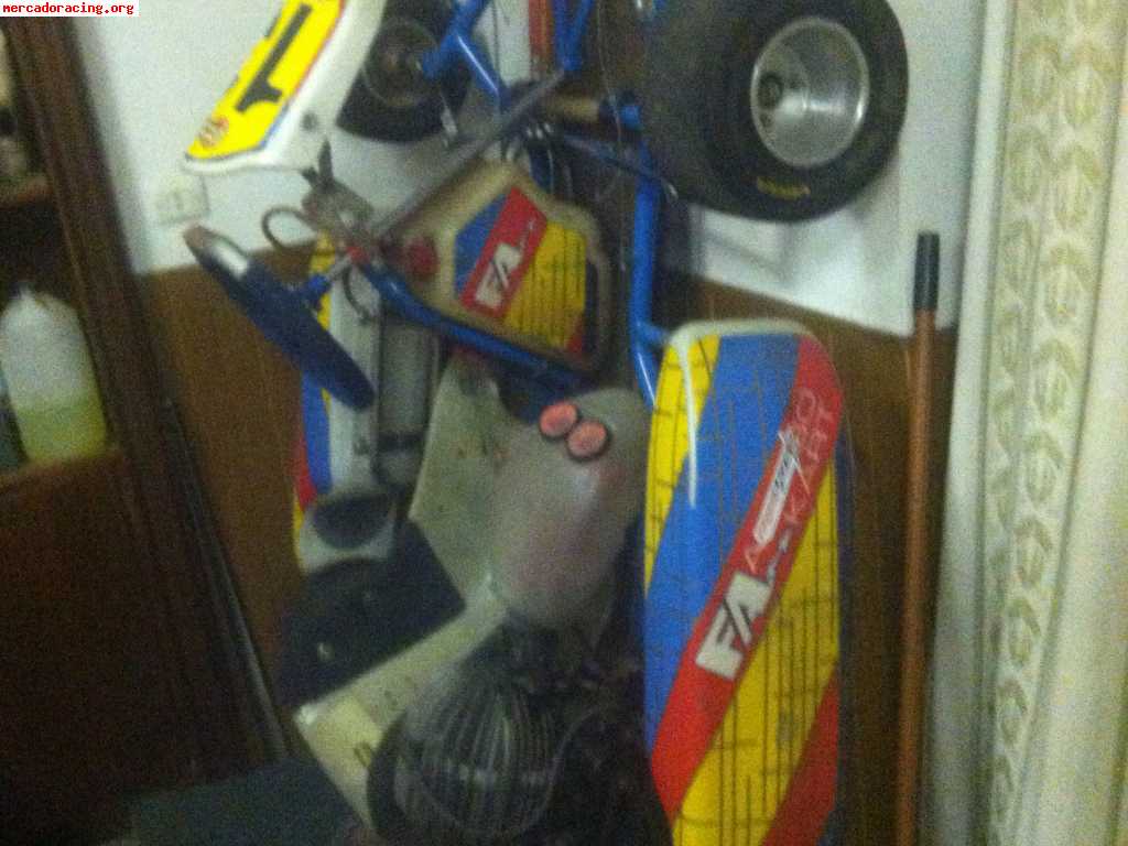 Fernando alonso kart