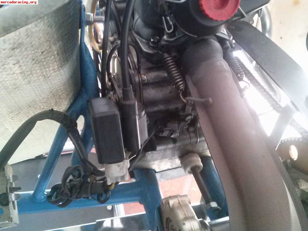 Kart fa 125 rotax max por 1950€