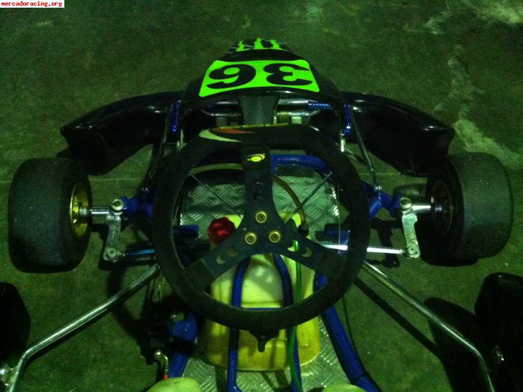 Vendo karts crg