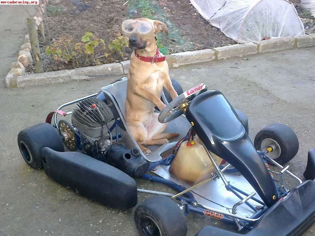 Kart vendo o cambio por moto
