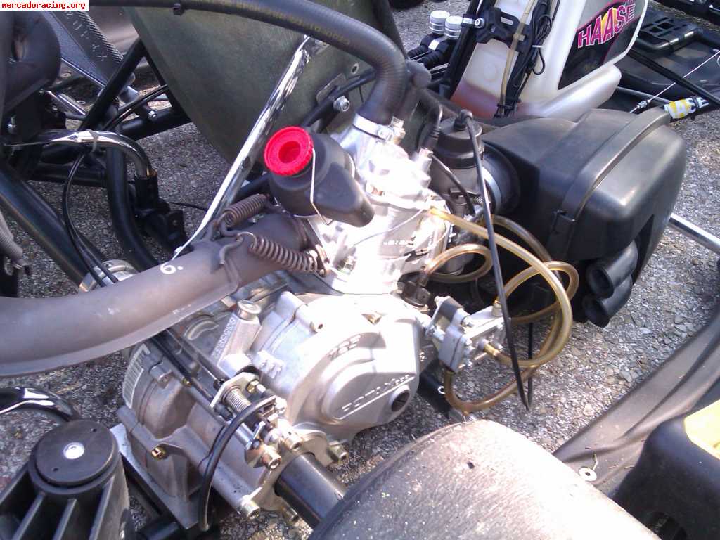 Kart haase edox rotax dd2 de la final mundial rotax