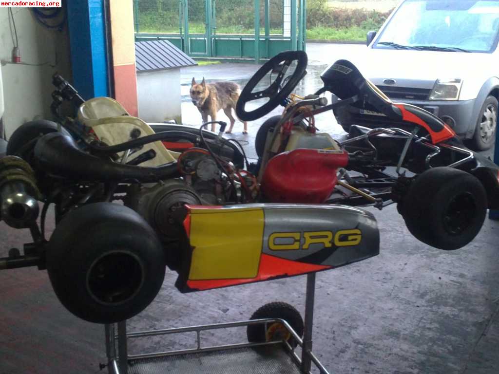  kart crg 