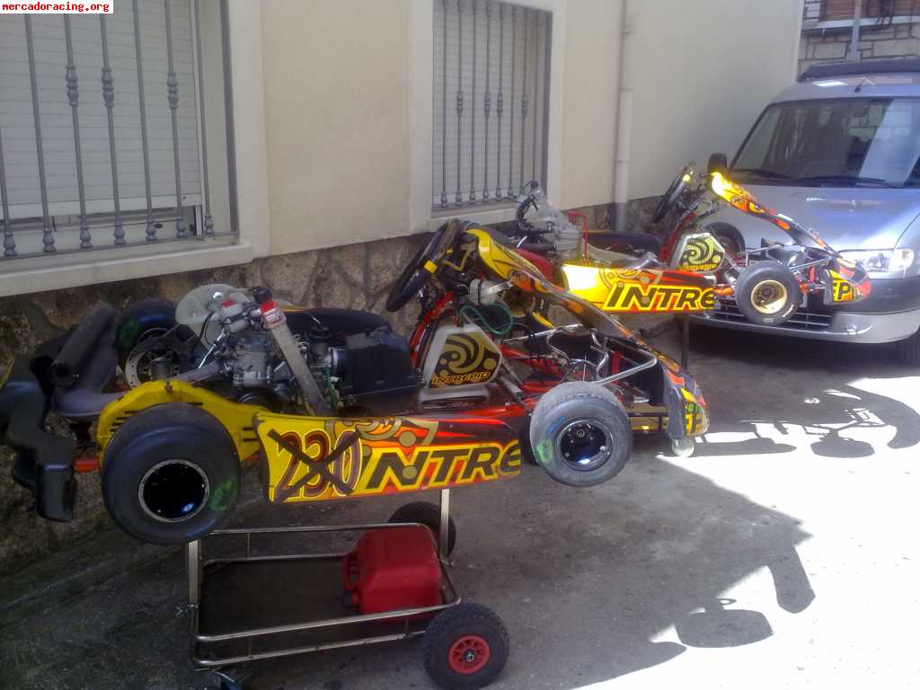 Vendo kart intrepid