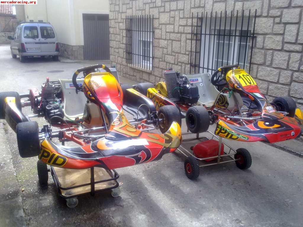 Vendo kart intrepid