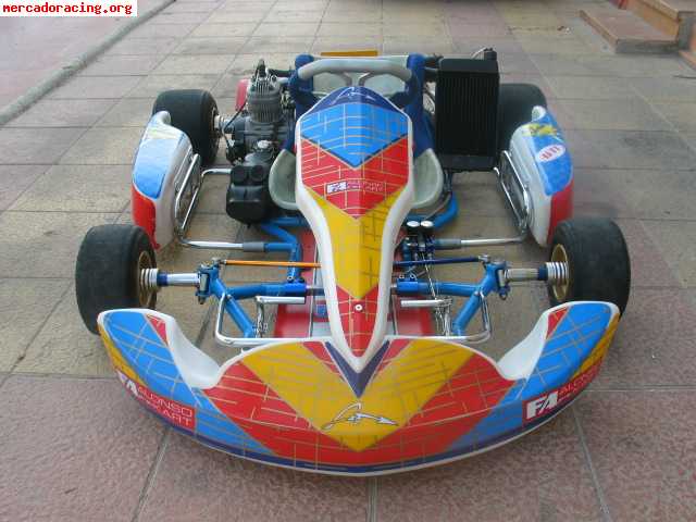 Kart fernando alonso con motor parilla x-30