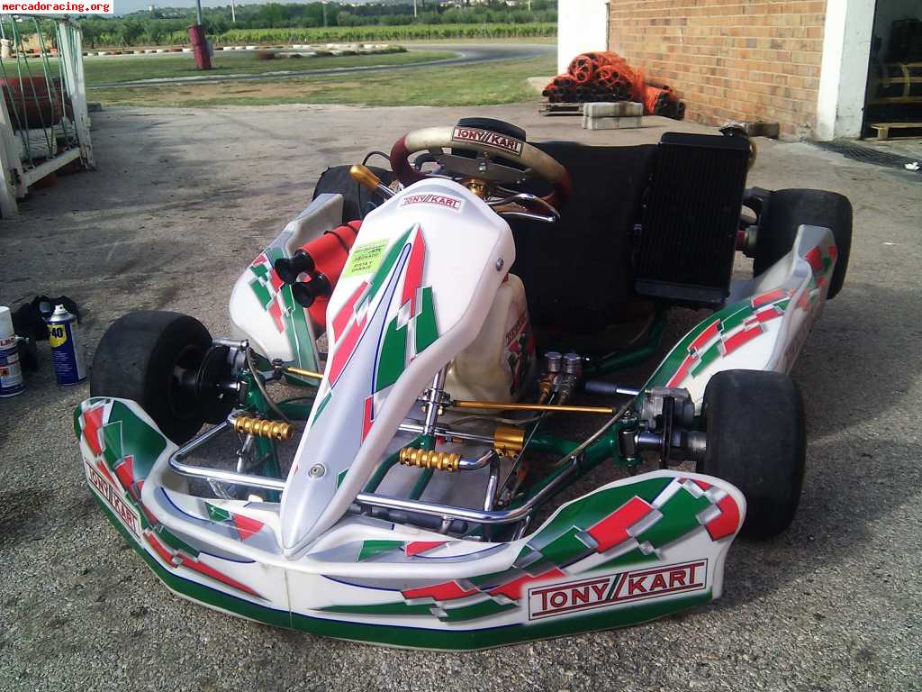 Tony kart - kz - vortex